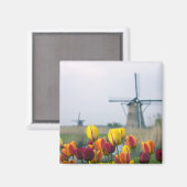 Windmühlen und Tulpen entlang des Kanals in Magnet (Vorderseite/Rückseite)