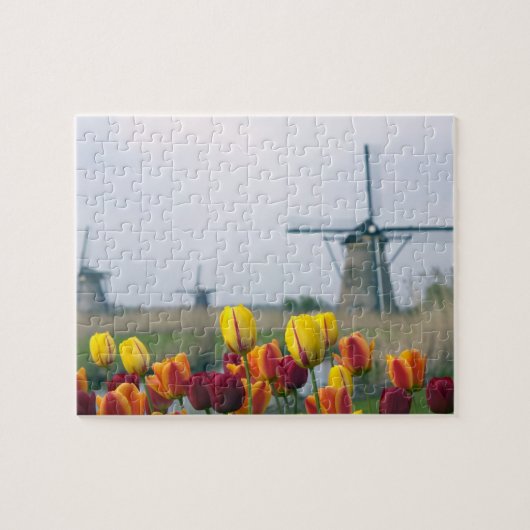 Windmühlen und Tulpen entlang des Kanals in Puzzle (Horizontal)