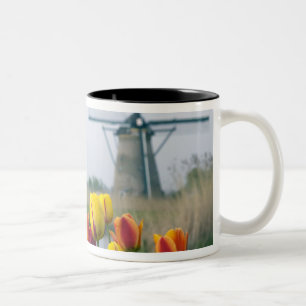 Windmühlen und Tulpen entlang des Kanals in Zweifarbige Tasse