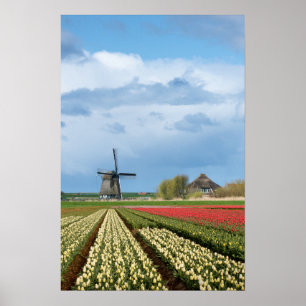 Windmühlen- und Tulpenlandschaft vertikales Poster