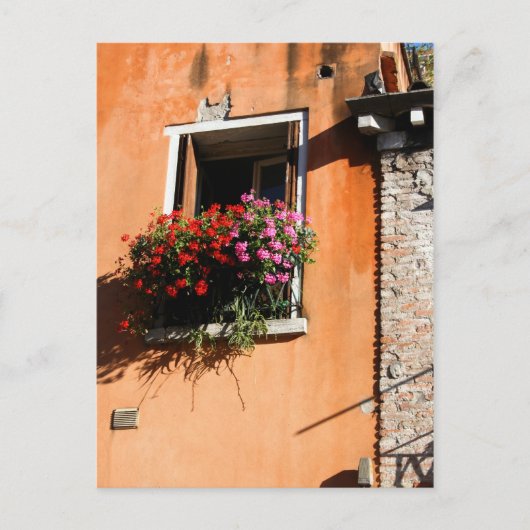 Window-Blume Postkarte (Vorderseite)