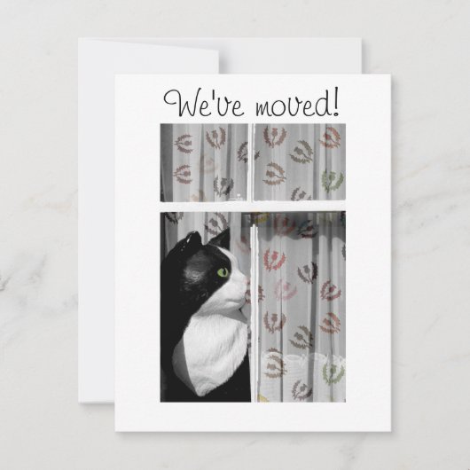 Window Cat New Zuhause Announccard Ankündigung (Vorderseite)