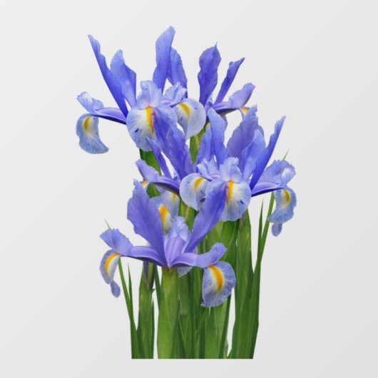 Window Decal 2 - Vordere Klammer - Größe auswählen Fensteraufkleber (Blatt)