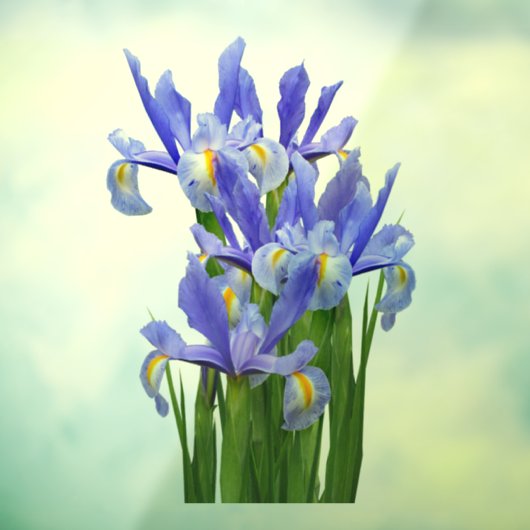 Window Decal 2 - Vordere Klammer - Größe auswählen Fensteraufkleber (Blatt 3)