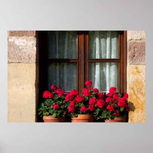 Window flower pots in village poster (Vorne)
