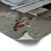 Window In Venice Poster (Ecke)