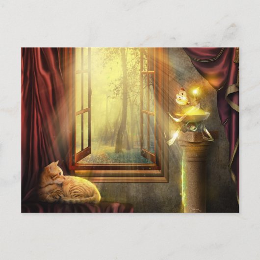 Window Shopping Postcard Postkarte (Vorderseite)