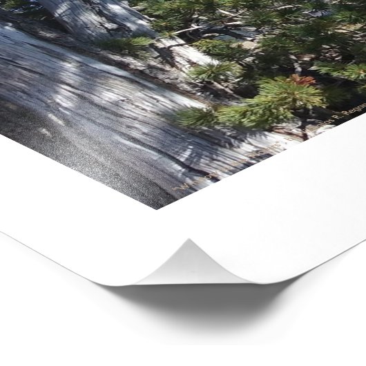 "Window to the Waters" Foto (Ecke)