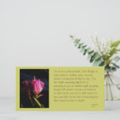 Windows cats Blume 018.JPG, Also wir nicht zu.. (Stehend Vorderseite)