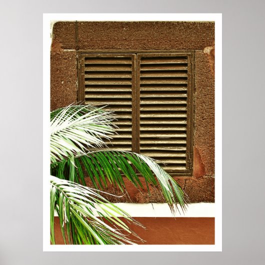 Windows (Portugal) Poster (Vorne)