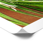 Windows (Portugal) Poster (Ecke)