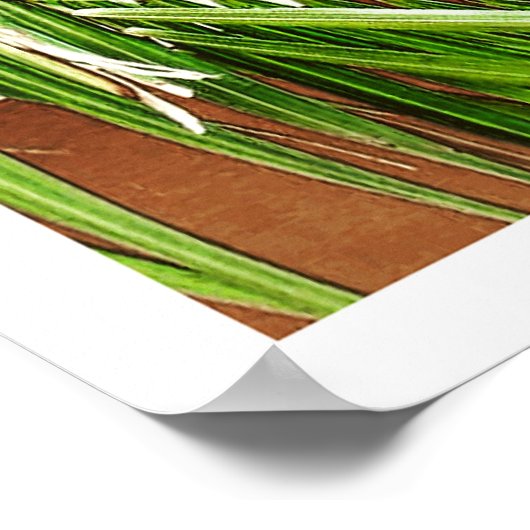 Windows (Portugal) Poster (Ecke)