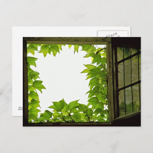 Windows-Postkarte Postkarte (Vorne/Hinten)