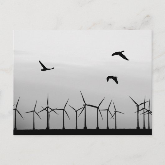 Windpark und Vögel Postkarte (Vorderseite)