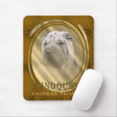 Windquest CSP Mousepad (Mit Mouse)