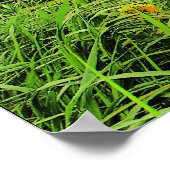 Windschweiß, Sonnenblumen (DRUCKEN) Poster (Ecke)