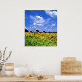 Windschweiß, Sonnenblumen (DRUCKEN) Poster (Küche)