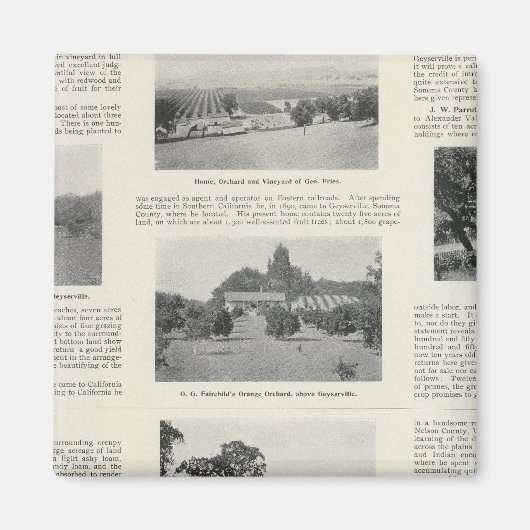 Windsor, Kalifornien Magnet (Vorne)