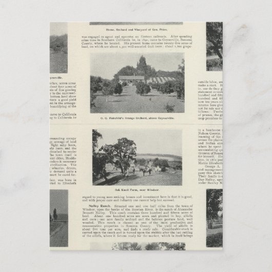 Windsor, Kalifornien Postkarte (Vorderseite)