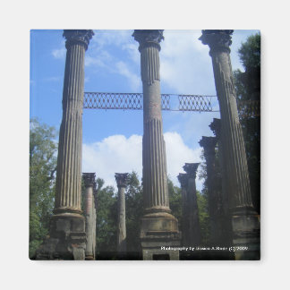 Windsor Ruins Magnete Magnet