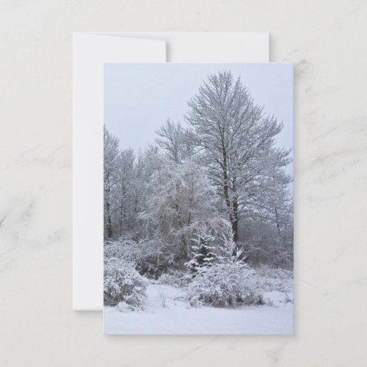Windsor Winter White Christmas Einladung (Vorderseite)