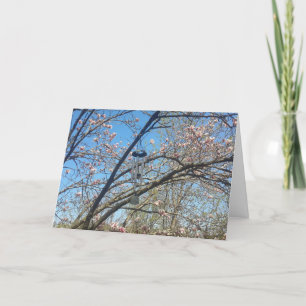 Windspiele und Magnolia Tree Geburtstagskarte Karte