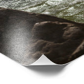 Windsurfen - Foto drucken (Ecke)