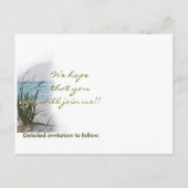 Windswept Beach Wedcard Ankündigungspostkarte (Rückseite)