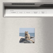 Windswept Cat by the Sea Cute Photo Magnet (In Situ (Geschirrspüler))