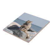 Windswept Katze an der Küste Fliese (Seite)