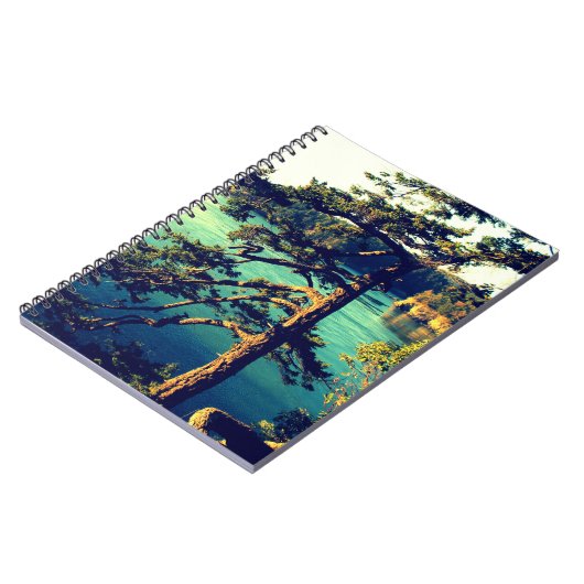 Windswept Küsten-Baum-Notizbuch ~ Notizblock (Linke Seite)