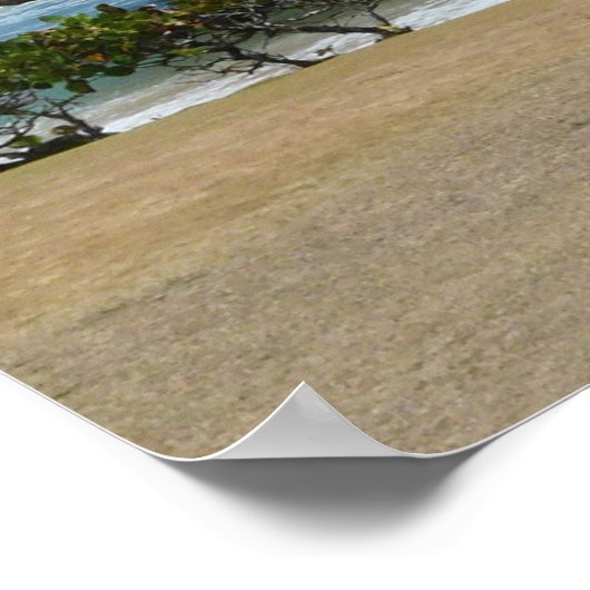 WindSwept Poster (Ecke)