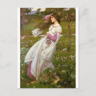 WindSwept Postkarte