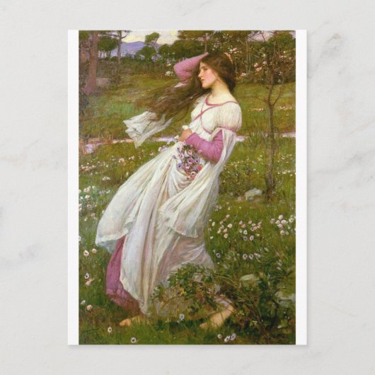 WindSwept Postkarte (Vorderseite)