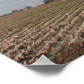 Windturbine Poster (Ecke)