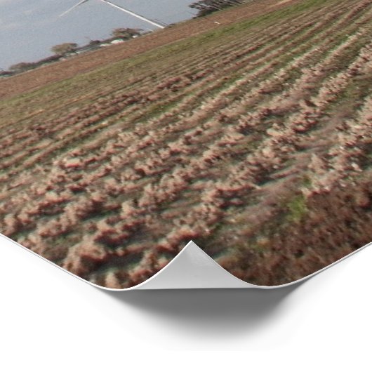 Windturbine Poster (Ecke)