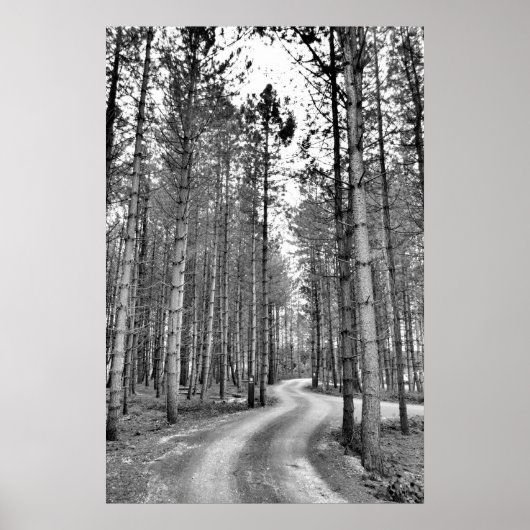 Windweg Poster (Vorne)