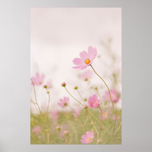 WINDY DAY POSTER (Vorne)