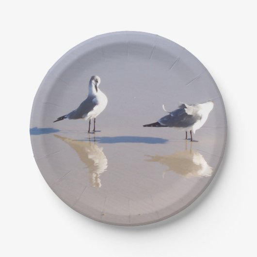 Windy Seagull Paper Plate Pappteller (Vorderseite)
