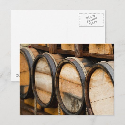 Wine Barrel Row Postkarte (Vorne/Hinten)