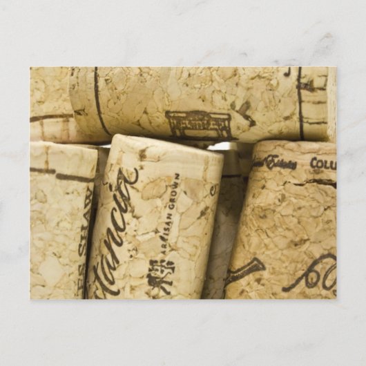 Wine Corks Postkarte (Vorderseite)