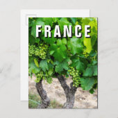 Wine Grapes Growing, Frankreich Postkarte (Vorne/Hinten)