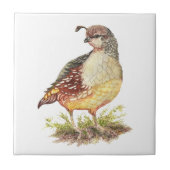 Wine tasting in der Fattoria Fliese (Vorderseite)