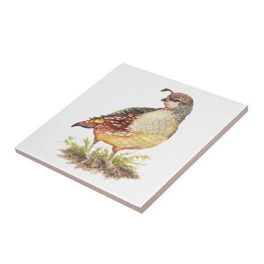 Wine tasting in der Fattoria Fliese (Seite)