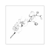 Wine tasting in der Fattoria Moncucchetto Gummistempel (Prägung)