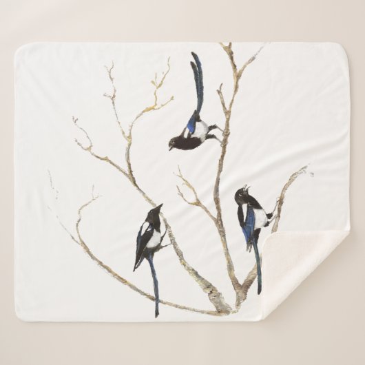 Wine tasting in der Fattoria Moncucchetto Sherpadecke (Vorderseite (Horizontal))