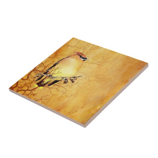 Wine tasting in Fattoria Moncucchetto Fliese (Seite)