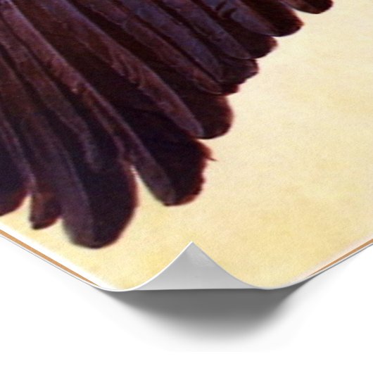 WING AN EINER EUROPÄISCHEN ROLLER POSTER (Ecke)