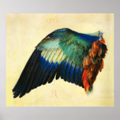 WING AN EUROPEAN ROLLER Durer Poster (Vorne)