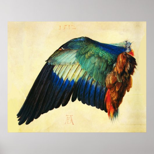 WING AN EUROPEAN ROLLER Durer Poster (Vorne)